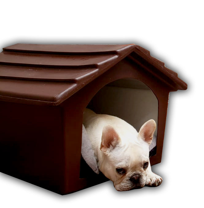 Casa de Perro