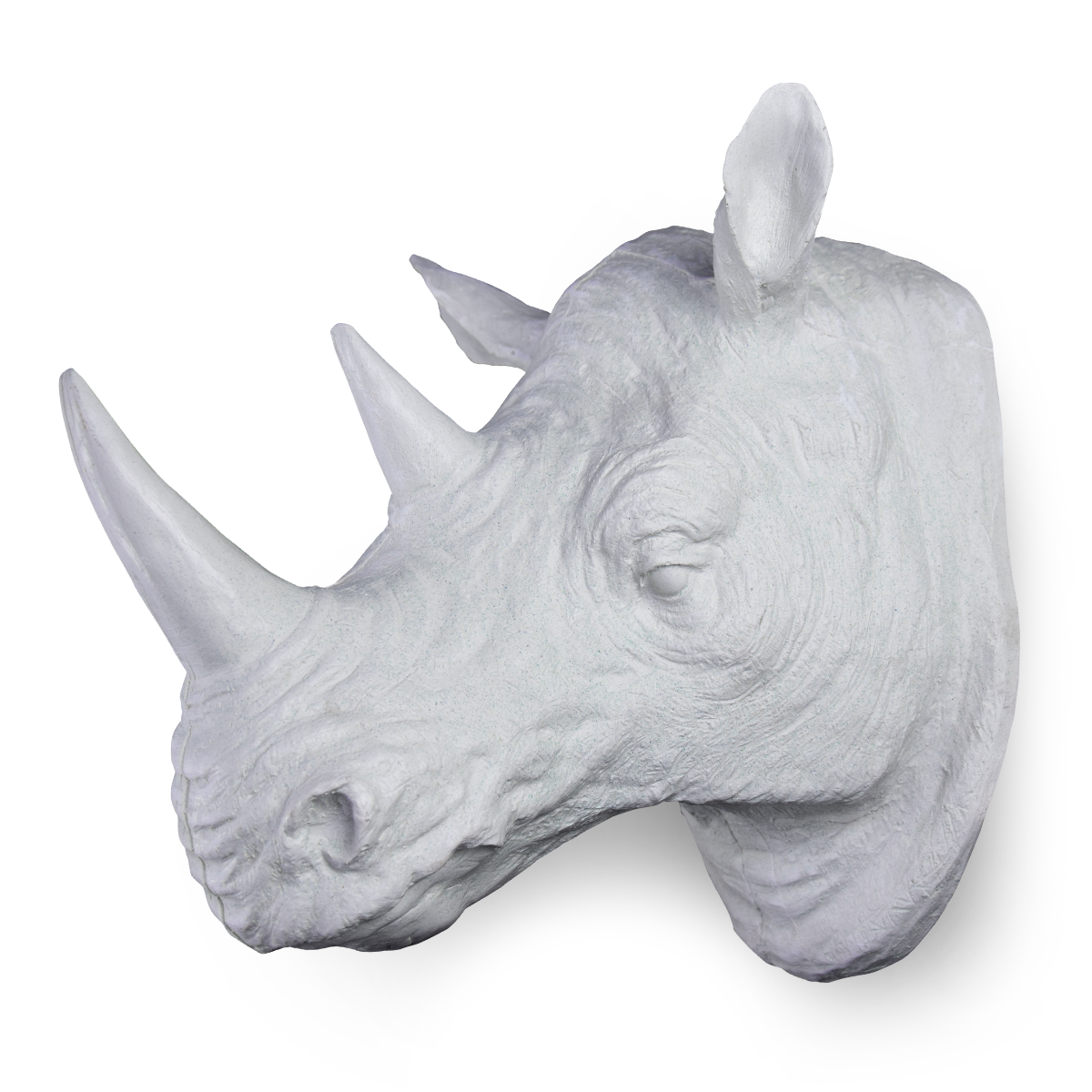 Cabeza de Rinoceronte Plana