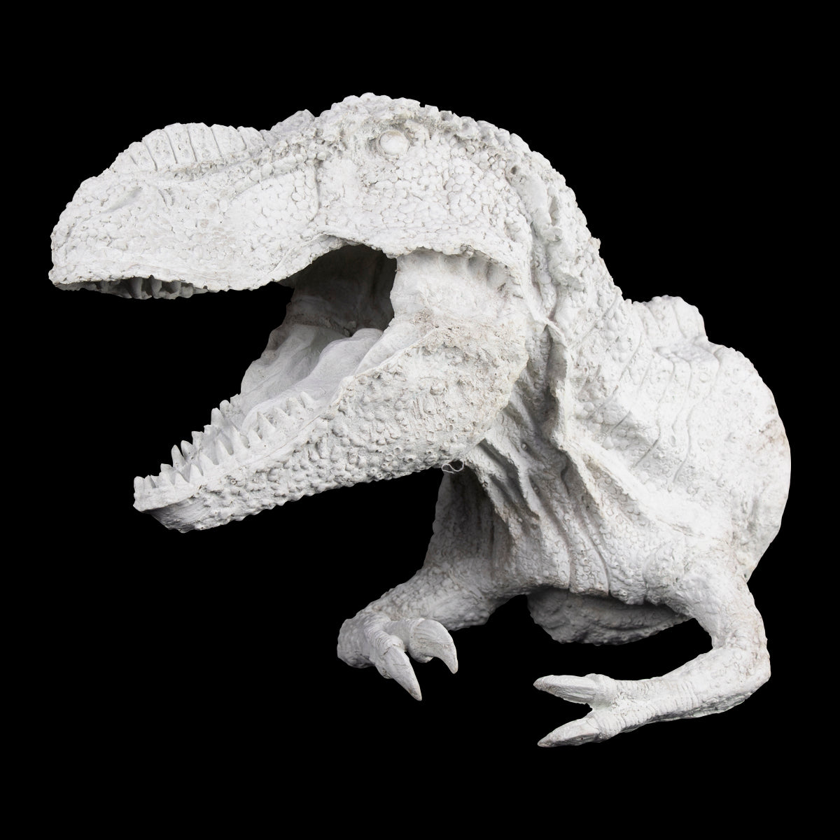 Cabeza de Dinosaurio Plana