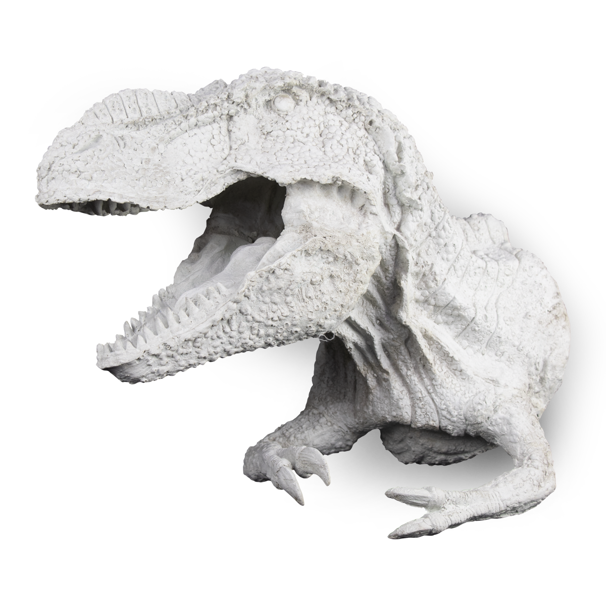 Cabeza de Dinosaurio Plana