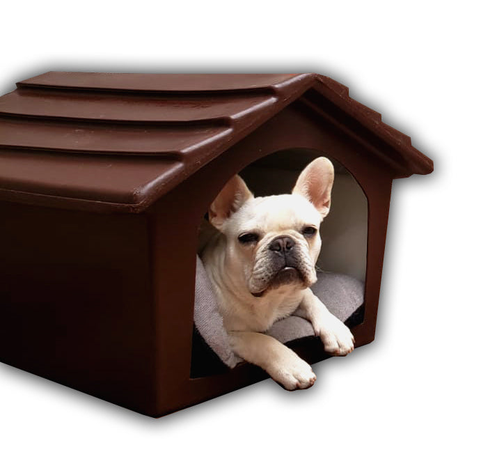 Casa de Perro