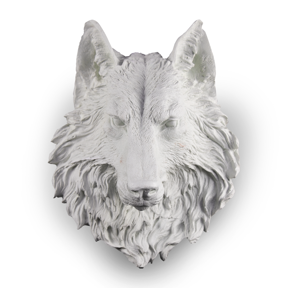 Cabeza de Lobo Plana - POLIFORMAS PLÁSTICAS