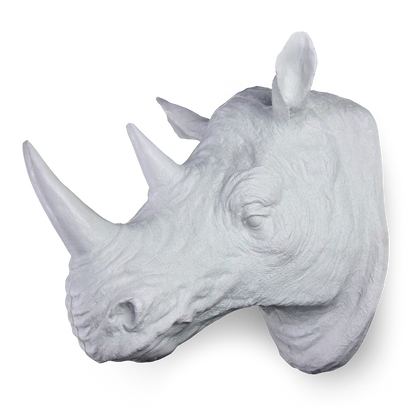 Cabeza de Rinoceronte Plana