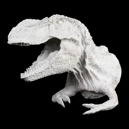 Cabeza de Dinosaurio Plana