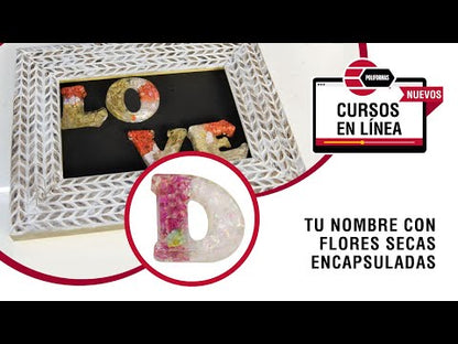 Curso de Flores Secas Encapsuladas