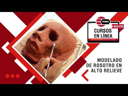 Creación de Modelado Rostro en Alto Relieve